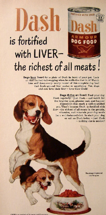 beagle_ad