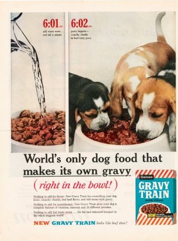 beagle_ad_3