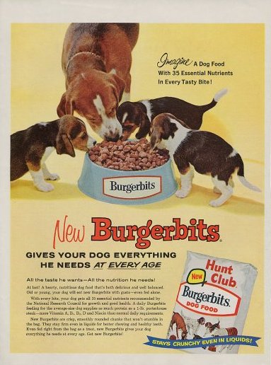 beagle_ad_5