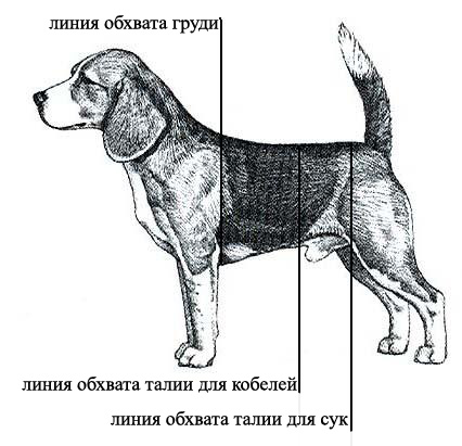 Таблицы размеров одежды для собак