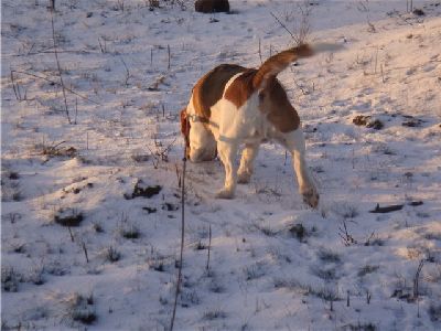 hunting_viktor_perfilov2