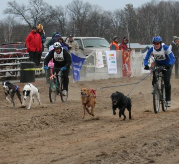 Bikejoring