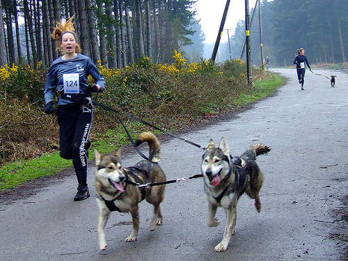 Racheal_Bailey_of_Akna_K9_Academy_with_two_of_her_running_do