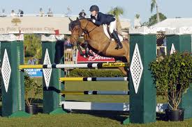 horse_show_jumping2