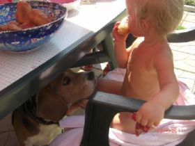 begging1