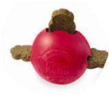 kong1
