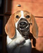 muzzle1