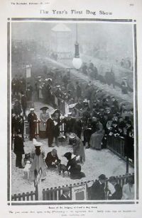 crufts1907
