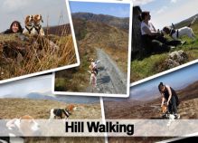 hillwalking_beagles
