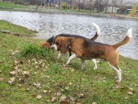 sniff6